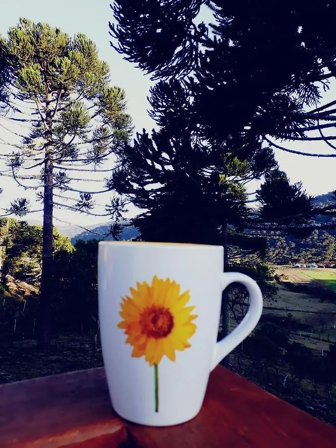 Holiday home Flor De Lotus Villa Urubici
